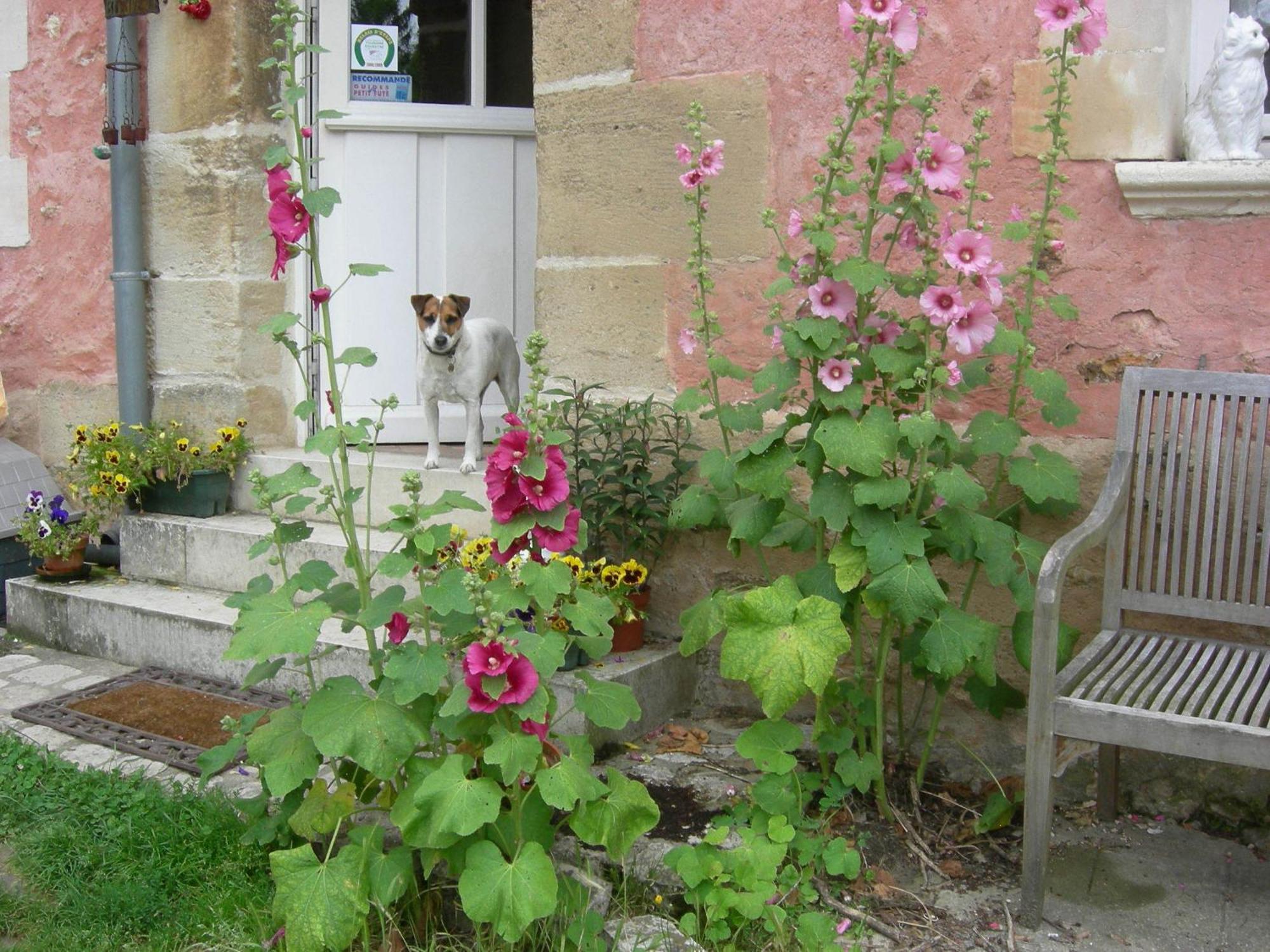 세르지 La Ferme Rose B&B 외부 사진